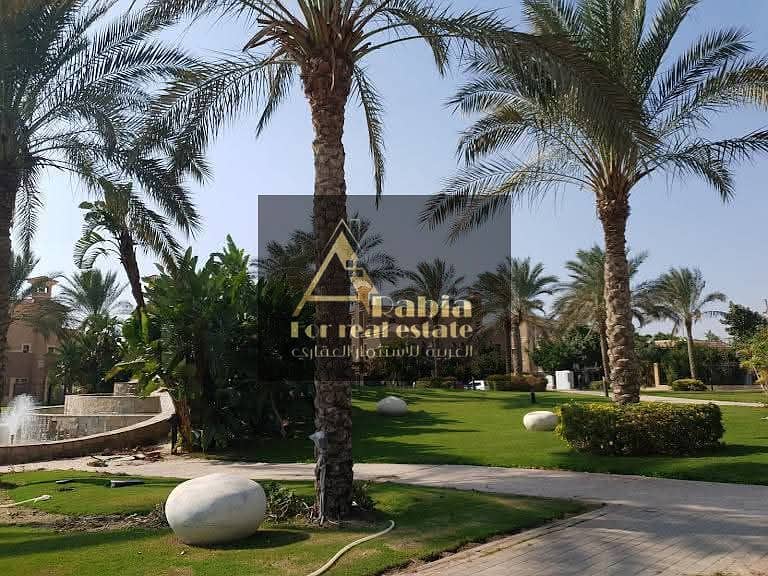 6 FB_IMG_1739610167463. jpg