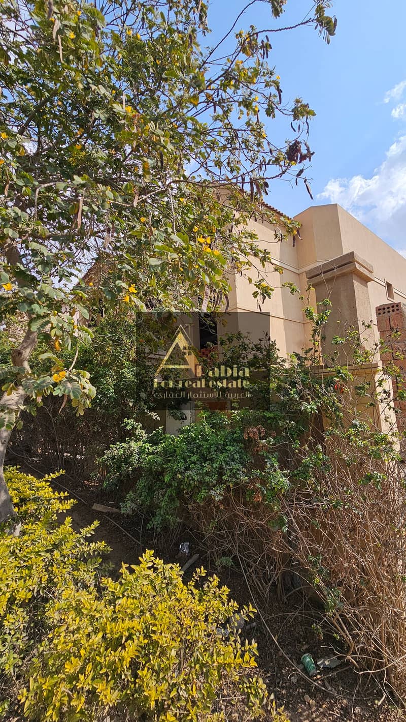 2 20250219_132636. jpg