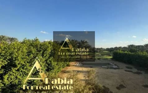 7 Bedroom Villa for Sale in New Cairo, Cairo - WhatsApp Image 2025-06-11 at 9.12. 55 PM (3). jpeg