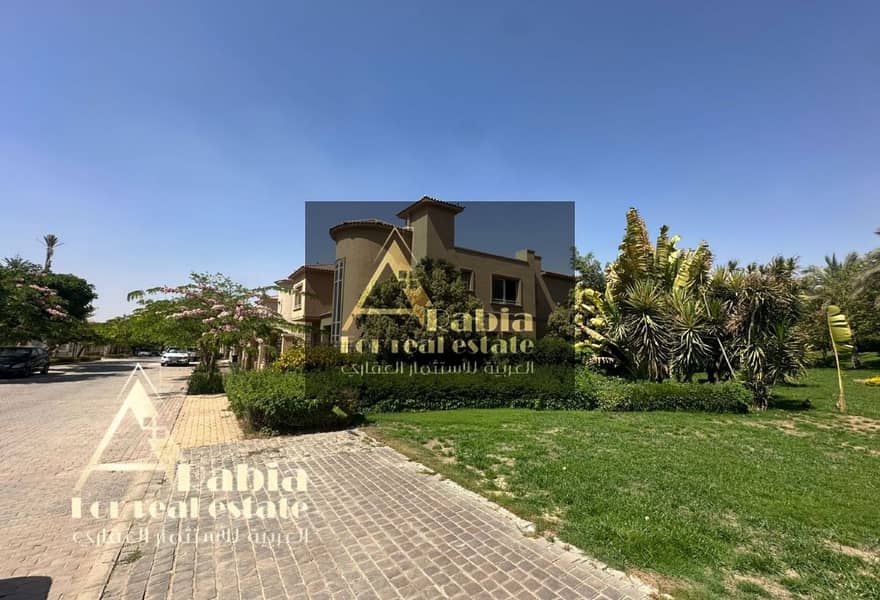 4 1b496423-0f84-43b0-aaa3-0a651cdf1ea9. jpeg