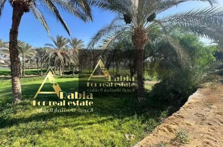 فیلا 7 غرف نوم للبيع في القاهرة الجديدة، القاهرة - WhatsApp Image 2025-06-20 at 1.42. 47 PM (3). jpeg