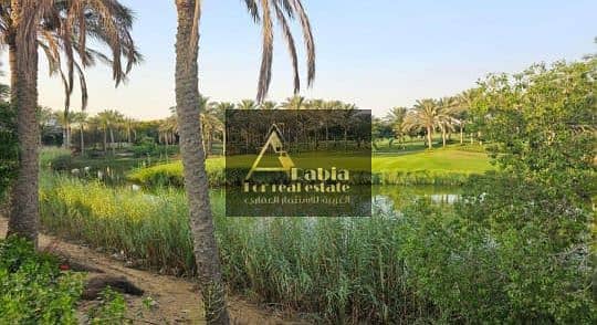 11 WhatsApp Image 2025-08-12 at 2.50. 00 PM. jpeg