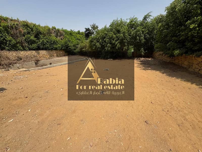 9 WhatsApp Image 2025-08-12 at 2.59. 34 PM (2). jpeg