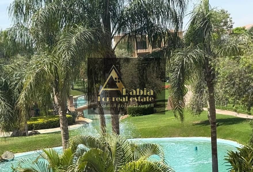 4 3785d807-3ade-4bfc-bb02-5649c3b317f7. jpg