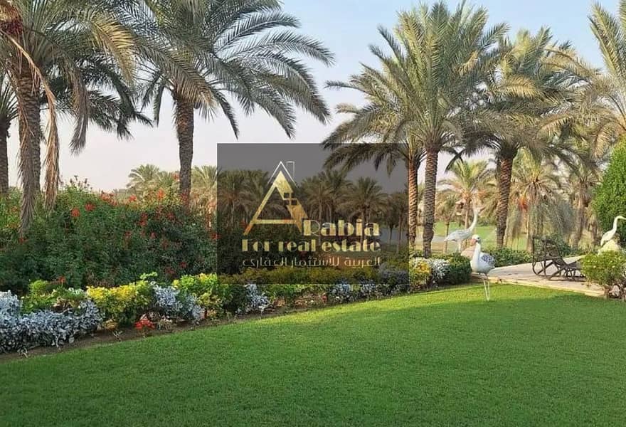 5 94172a63-d892-4174-a708-5d9a84ef1a04. jpeg