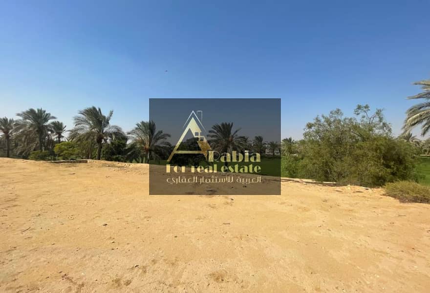 6 e4607944-f685-49d4-82ba-2b51e4cf281a. jpg