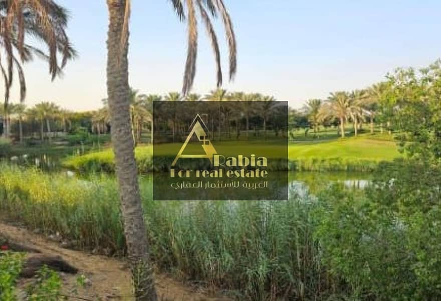 5 3242f7ec-913e-4be5-b139-fbfc9df48e12. jpg