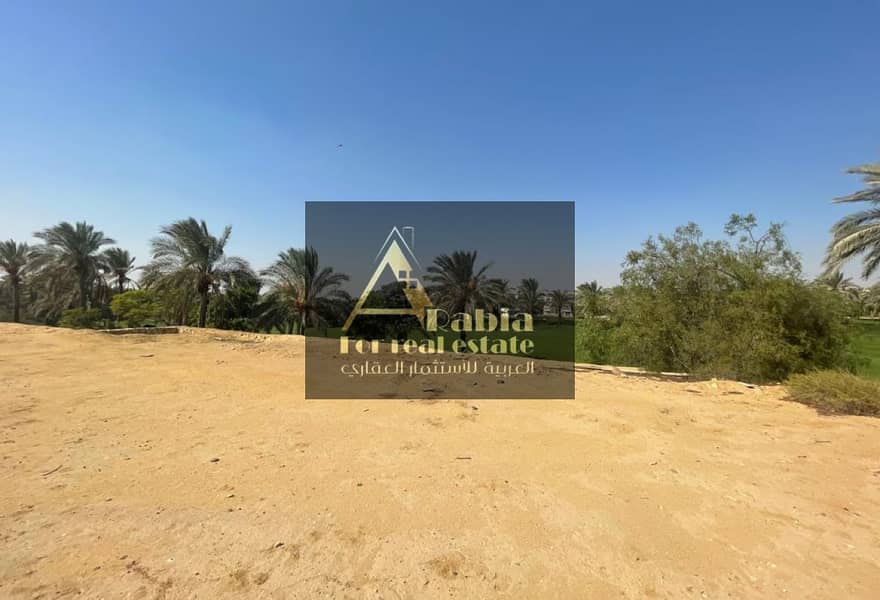 6 a500e598-ede1-4cd1-aa19-b388910cf1e2. jpeg