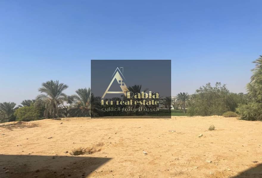 11 5f0eb9b6-cf5f-4a20-96f7-be2735c09bff. jpeg