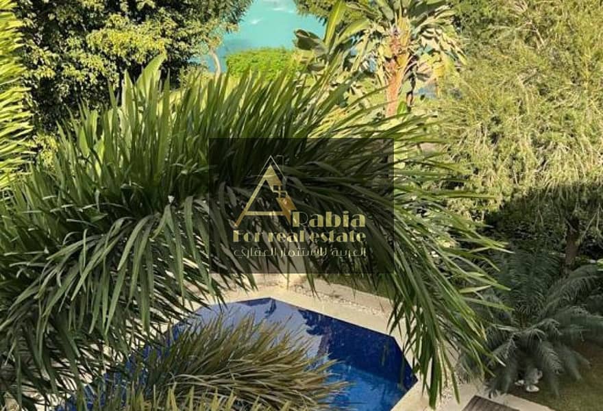 12 88623085-5462-4a45-a39b-20eba70c5264. jpg