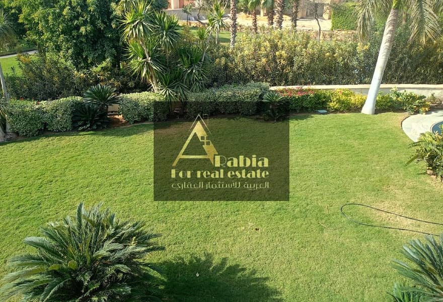 4 3c21adee-ad34-4439-a33e-305bd7d5c8ba. jpg