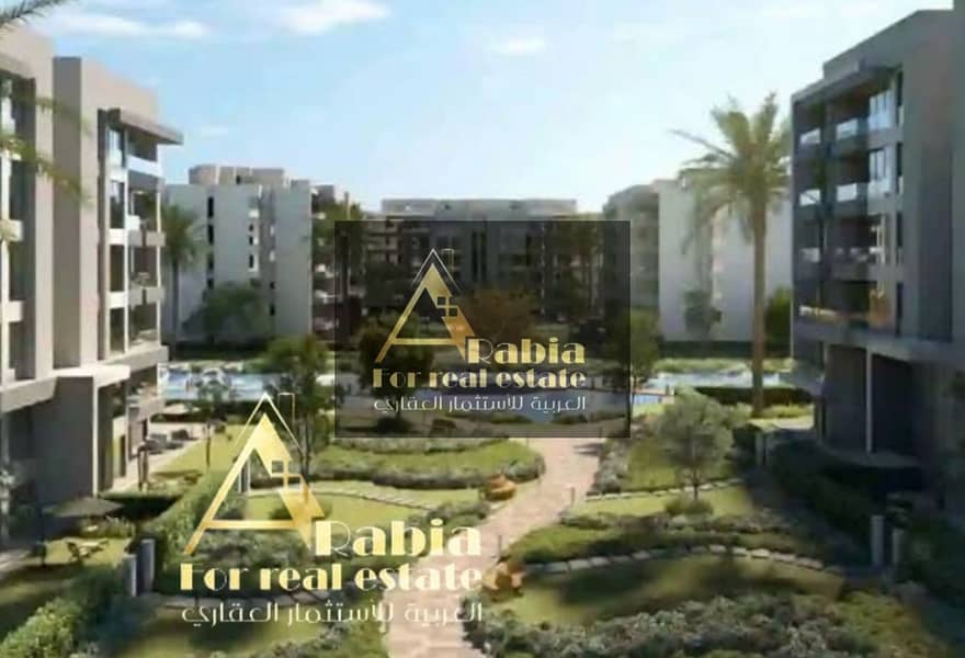 4 f240903a-fae5-4188-b350-7d5d42bbb1cd. jpg