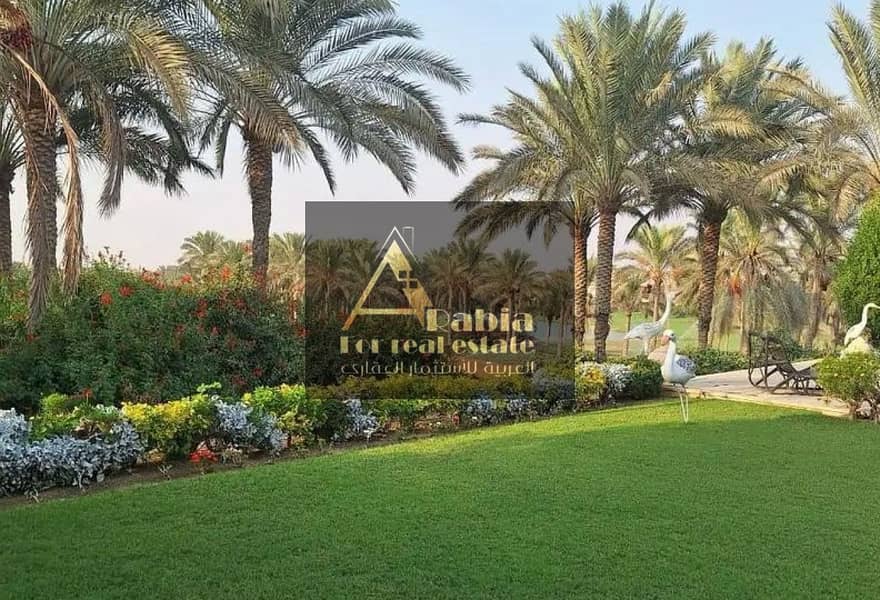 12 3012e74f-10d4-486b-8cd5-4d6d73d9bda9. jpg