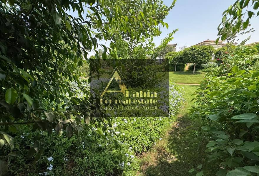 4 089371f8-db97-4152-9a60-4c6c34fc641c. jpg