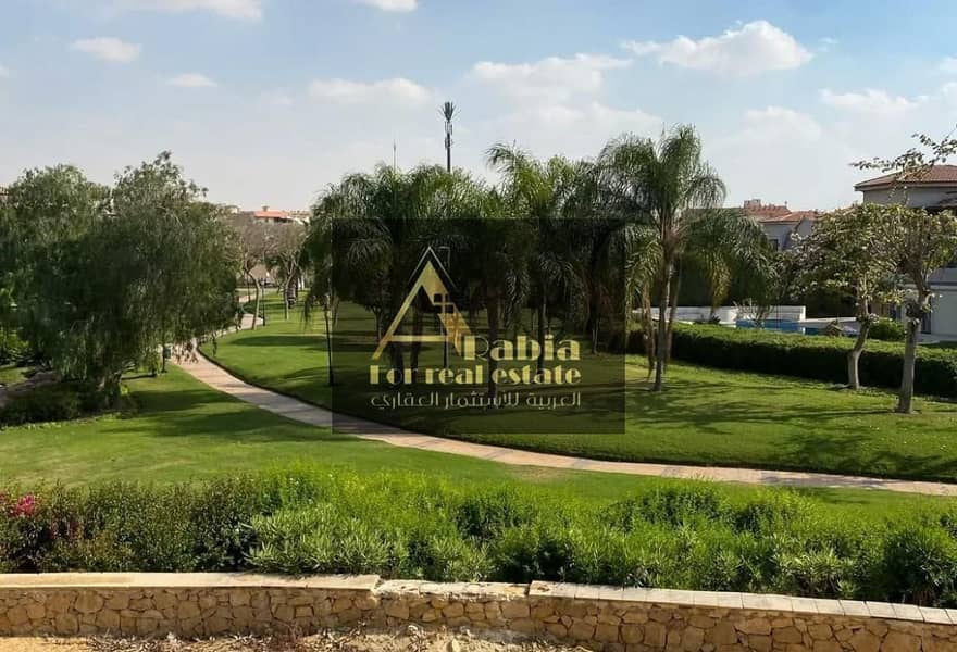 7 74d785dc-2a47-47b0-9e2b-39674813faaf. jpg