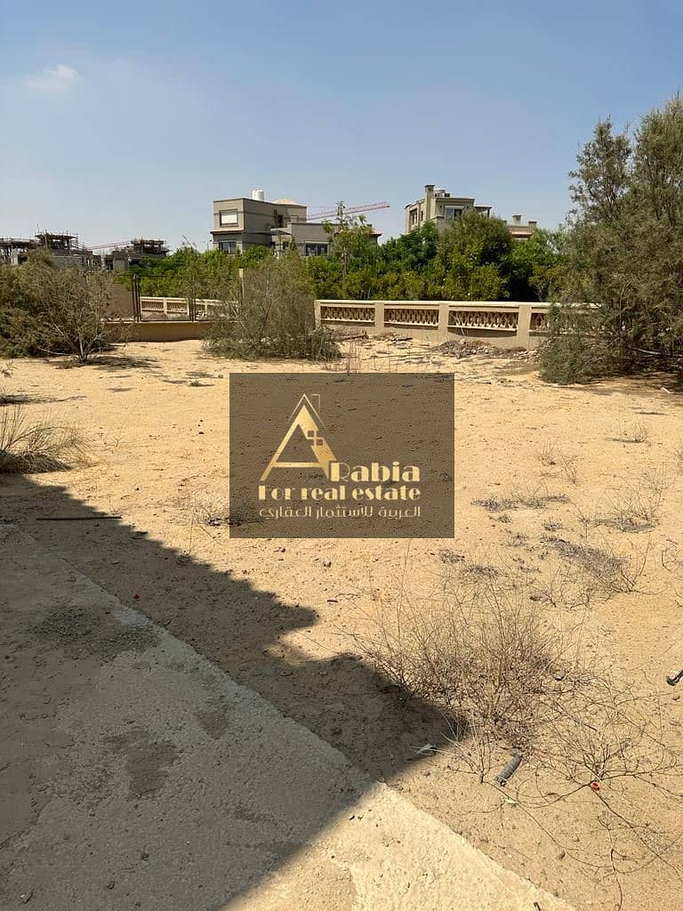 13 8c579fd0-daf8-4de5-8557-016cd47c0c92. jpeg