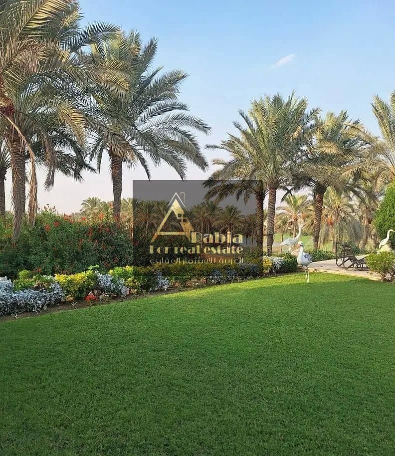 4 03328bf7-4a55-449e-aae4-9df7e4c25f40. jpeg