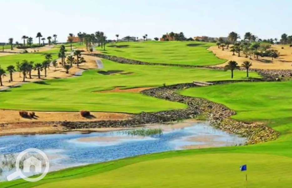 5 Screenshot (555)_1400x900. jpg