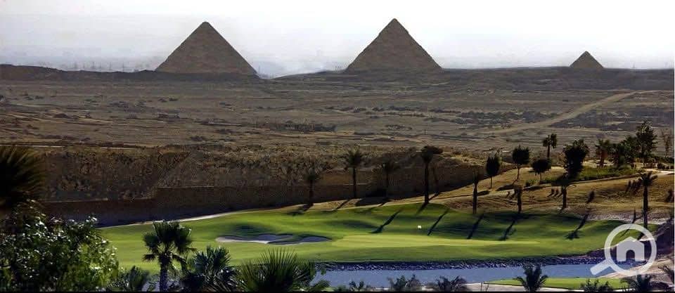 7 503044298_1129796902497020_6941016781221677091_n. jpg