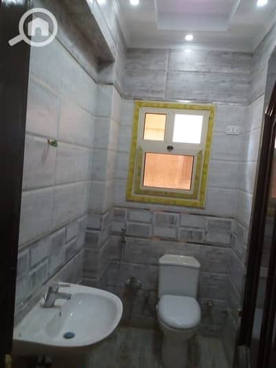 3 Bedroom Flat for Rent in New Cairo, Cairo - b9535c94-d63e-46b6-97a9-3a00037452be. jpeg