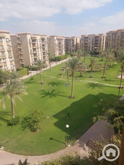 3 Bedroom Flat for Sale in New Cairo, Cairo - 571026208_122218563512057873_2932538316283244648_n. jpg 3 Bedroom Flat for Sale in New Cairo, Cairo - 571026208_122218563512057873_2932538316283244648_n. jpg