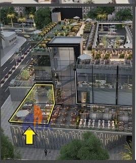 IMG_٢٠٢٥١٠٢٦_١٧١٤٢٤. jpg