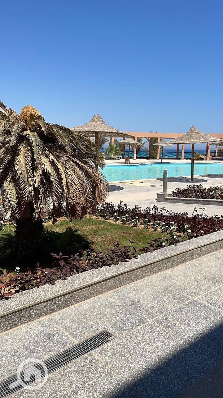 17 WhatsApp Image 2025-10-26 at 5.16. 03 PM. jpeg