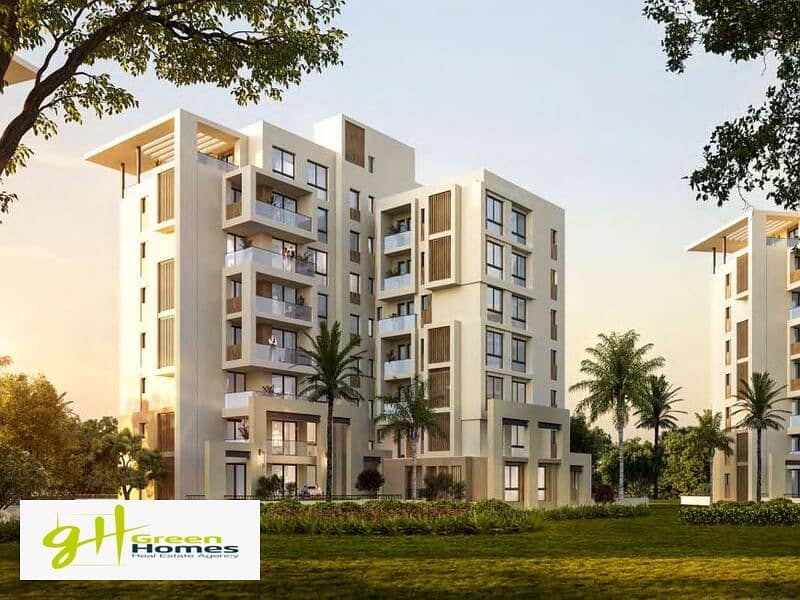 13 WhatsApp Image 2024-11-03 at 2.18. 23 PM. jpeg