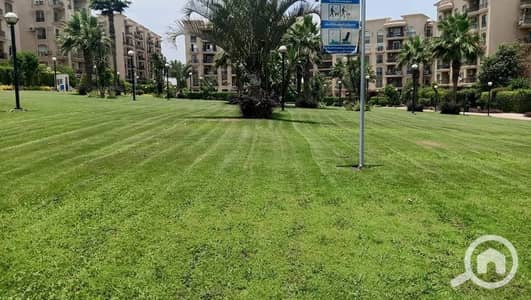 3 Bedroom Apartment for Sale in New Cairo, Cairo - 565669203_122217402932057873_516486334130717418_n. jpg 3 Bedroom Apartment for Sale in New Cairo, Cairo - 565669203_122217402932057873_516486334130717418_n. jpg