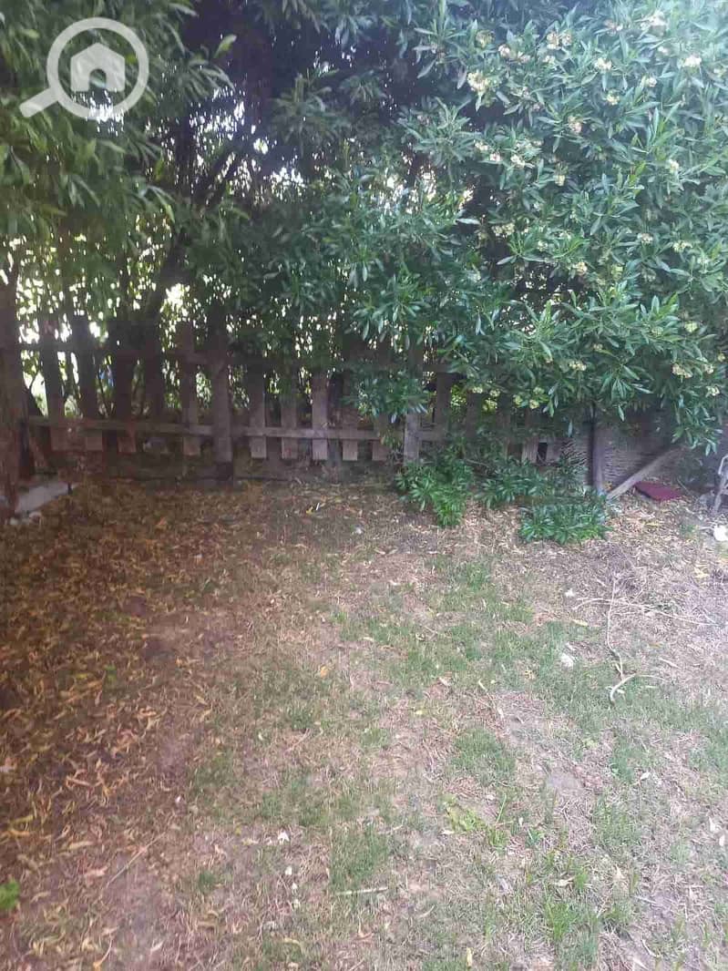 1000391378. jpg 1000391378. jpg