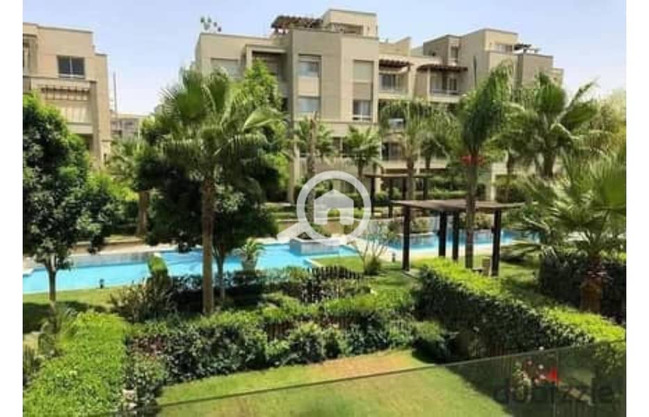 5 153414665-400x300. jpg