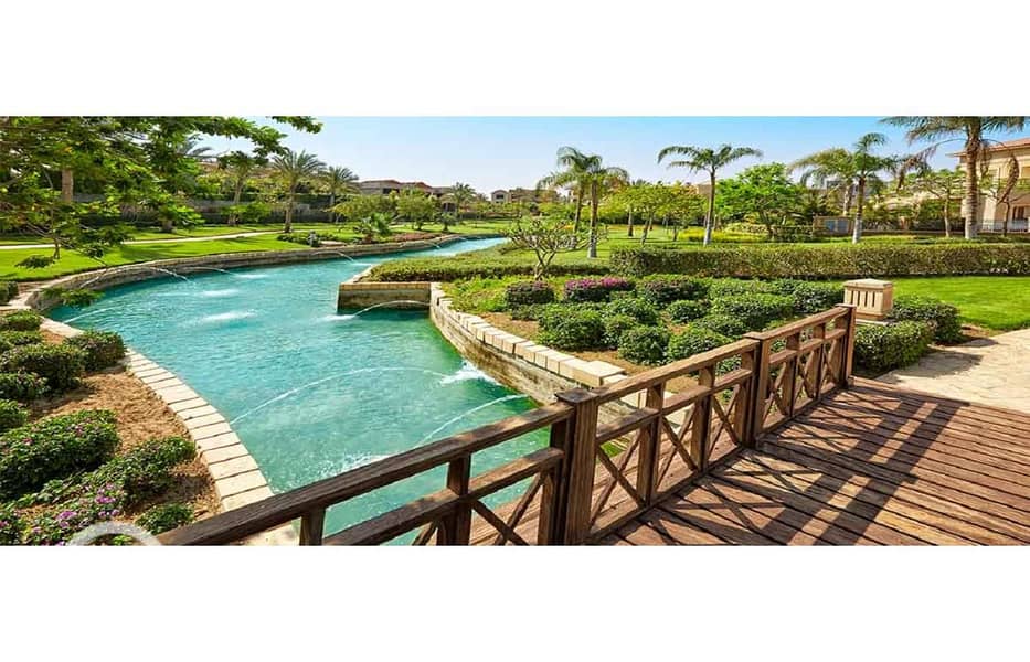 10 swan-lake-التجمع. jpg