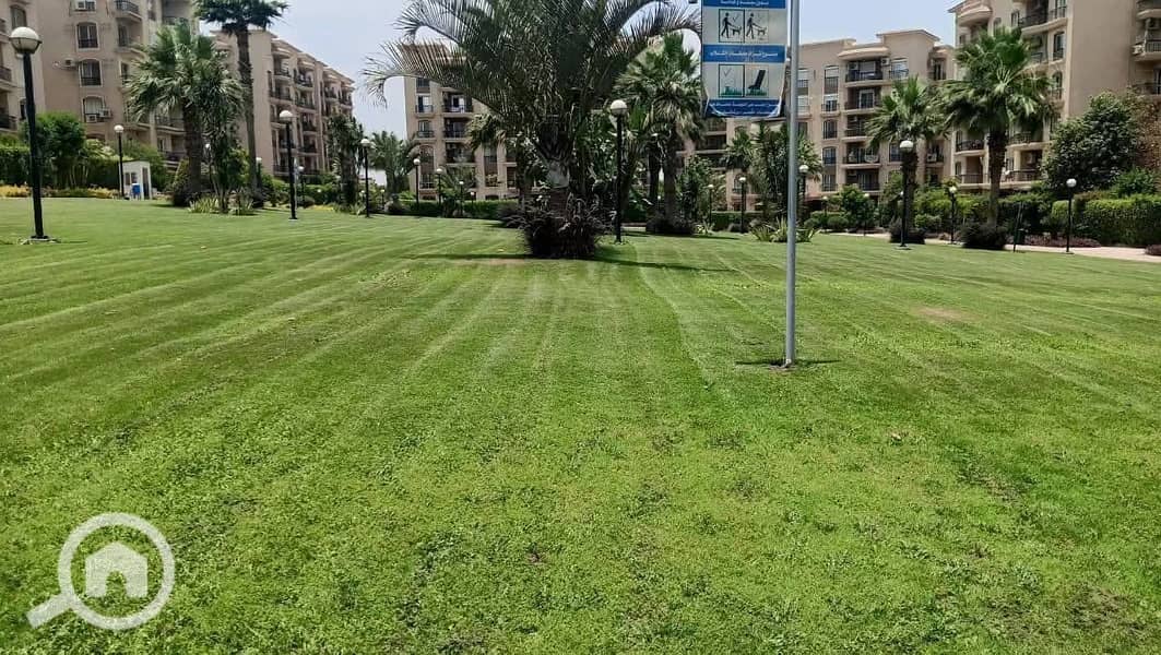 8 565669203_122217402932057873_516486334130717418_n. jpg