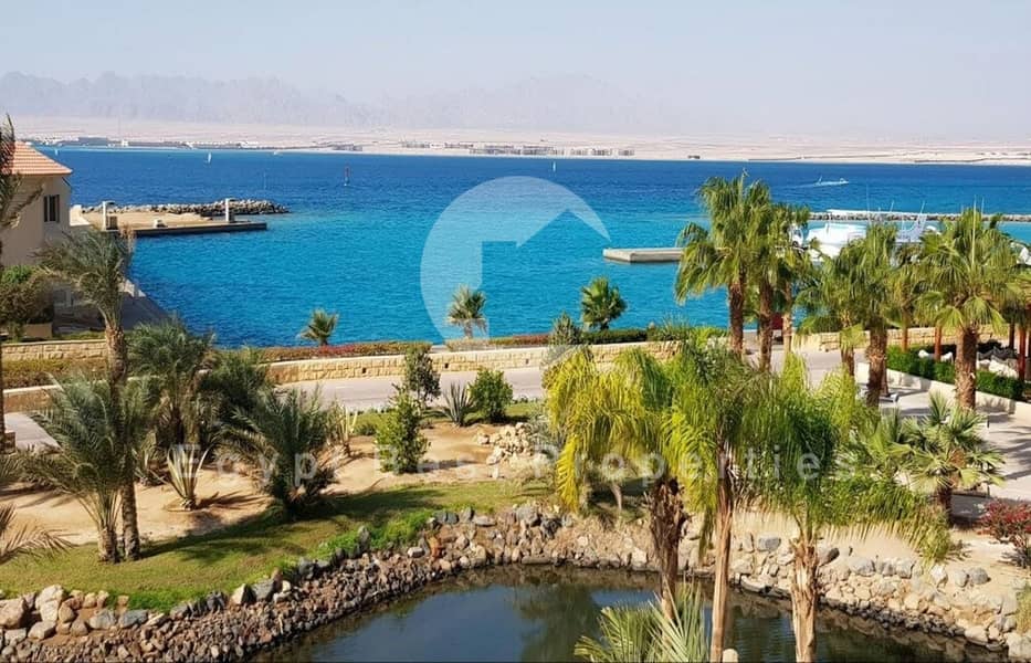 8 WhatsApp Image 2025-07-09 at 01.32. 05_cbe715ac. jpg