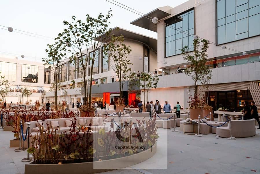 3 DSC02044-1024x683. jpg