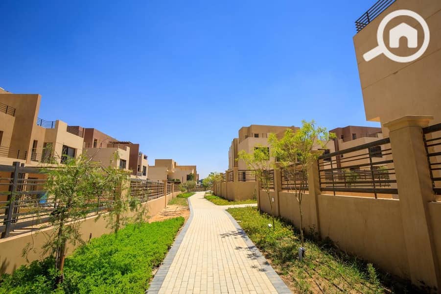 10 ALMA Live Pictures8. jpg