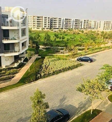 5 332022957_6627608243920090_8175224193479459246_n. jpg