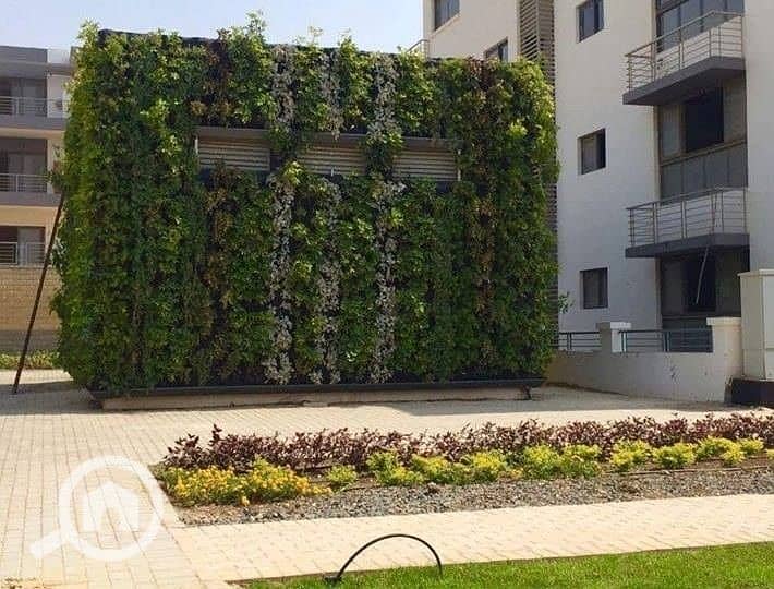 6 28795441_193843117883721_4248190038380118016_n. jpg