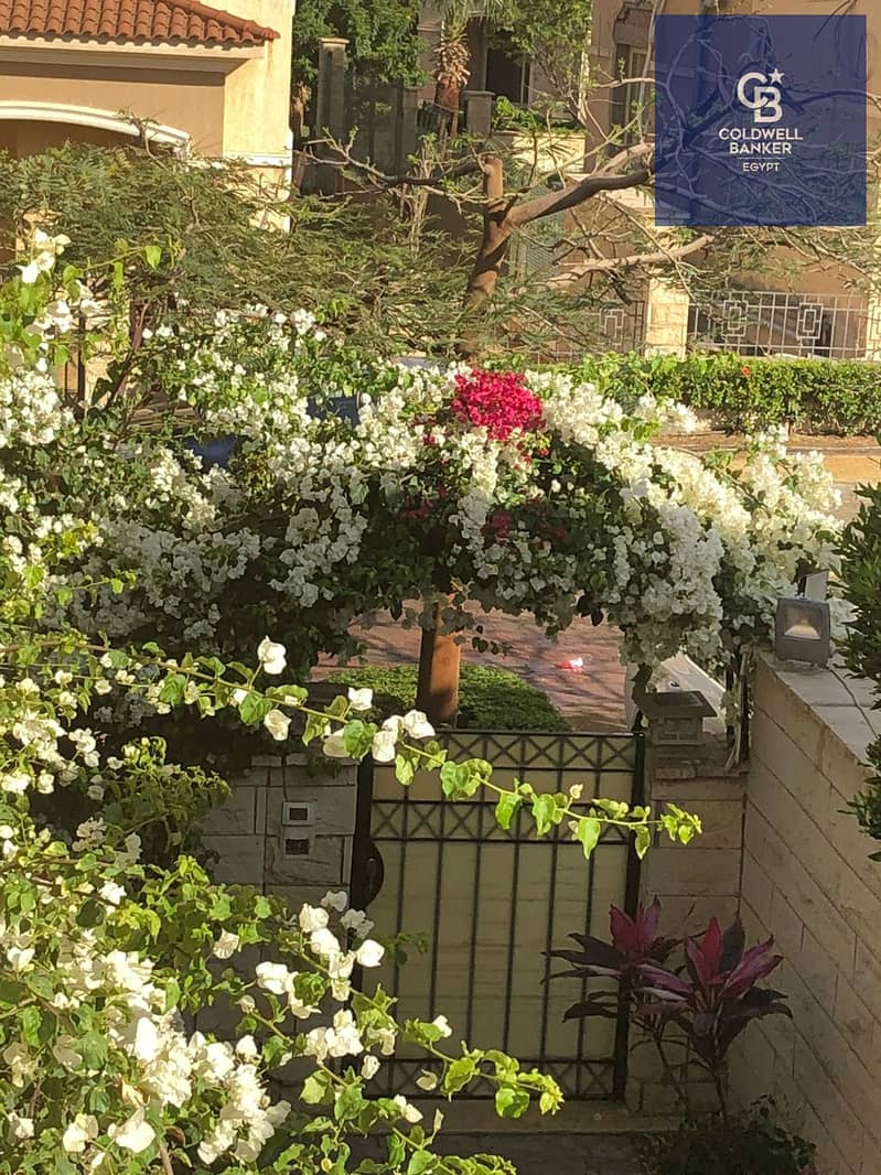 9 1072c9bf-cbb2-43ab-9ab0-0a46e84c852c. jpeg