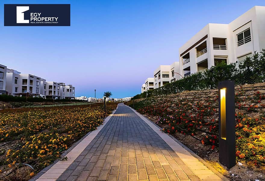 8 acc32e83-2d9a-4666-94d0-71e0bba6e287. jpg