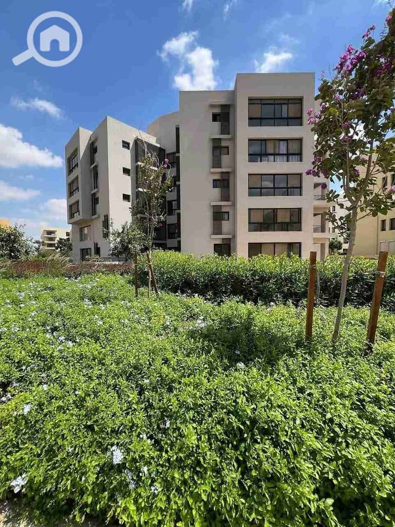 7 FB_IMG_1761492026869. jpg