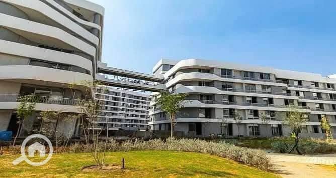 7 WhatsApp Image 2025-10-22 at 01.23. 21_e5f83021. jpg