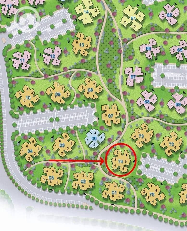 photo_2025-09-19_08-39-19. jpg