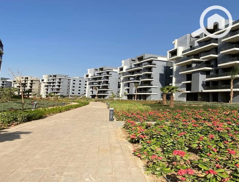 14 3026fb84-8ec5-4824-b265-e018038393a1. jpg