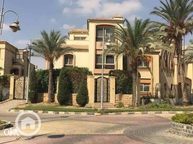 10 WhatsApp Image 2023-07-24 at 2.38. 35 PM. jpeg