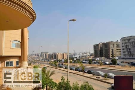 فیلا 11 غرف نوم للايجار في القاهرة الجديدة، القاهرة - WhatsApp Image 2025-10-26 at 3.40. 41 PM (4). jpeg فیلا 11 غرف نوم للايجار في القاهرة الجديدة، القاهرة - WhatsApp Image 2025-10-26 at 3.40. 41 PM (4). jpeg