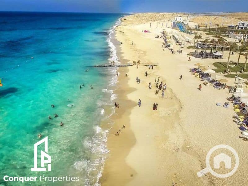 6 Untitled design - 2023-08-07T145842.491. png