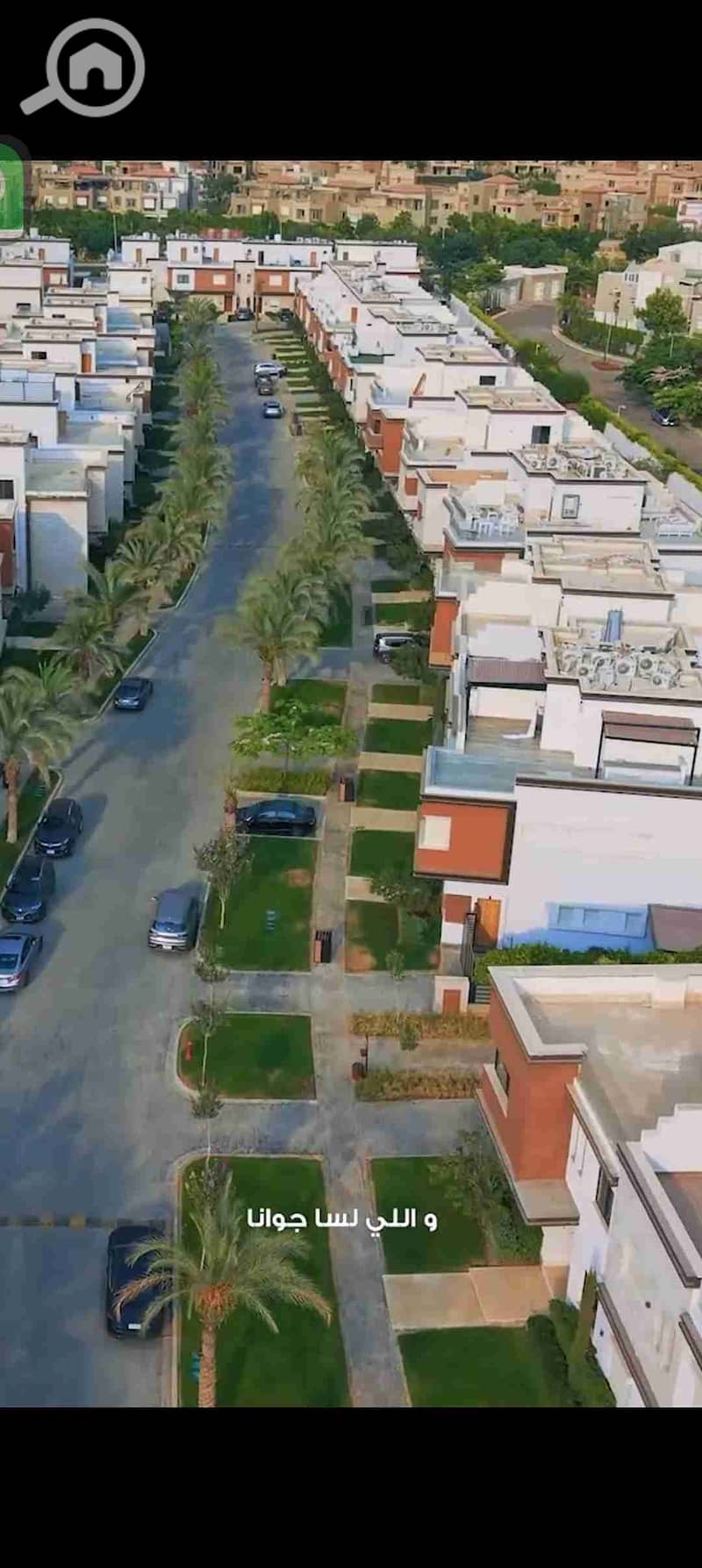 6 1000525761. jpg
