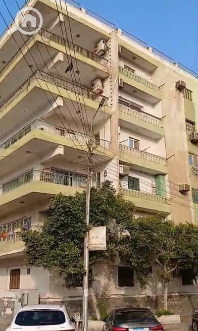 عقار سكني آخر 3 غرف نوم للبيع في مصر الجديدة، القاهرة - WhatsApp Image 2025-10-26 at 6.01. 51 PM (1). jpeg عقار سكني آخر 3 غرف نوم للبيع في مصر الجديدة، القاهرة - WhatsApp Image 2025-10-26 at 6.01. 51 PM (1). jpeg