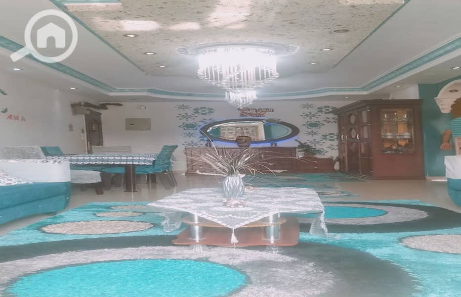 11 WhatsApp Image 2024-09-06 at 4.01. 09 PM_1400x900. jpg